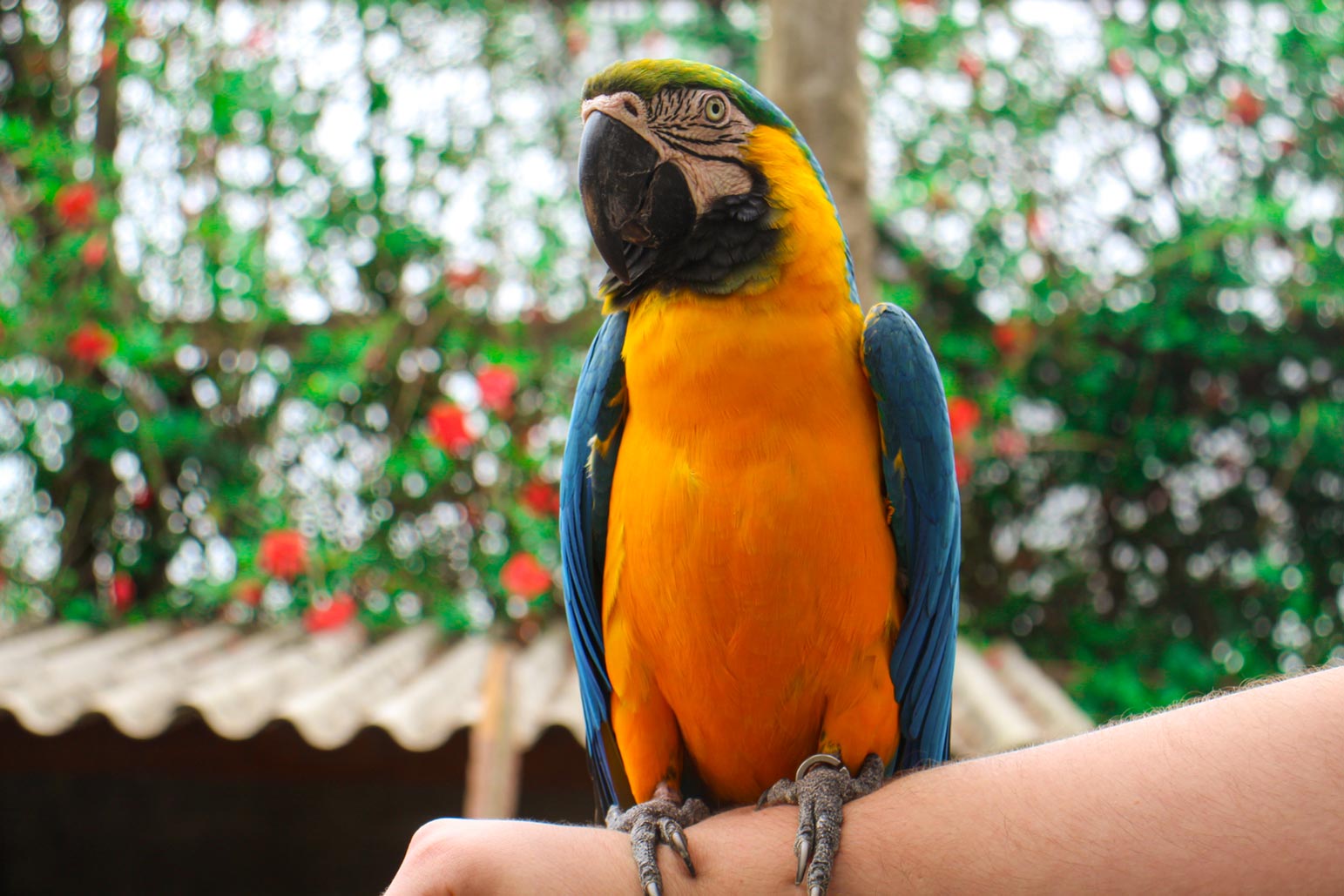 Thermas São Pedro - Image 6