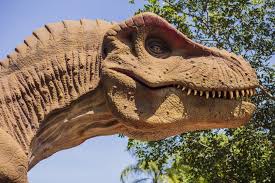 Vale dos Dinossauros - Image 5