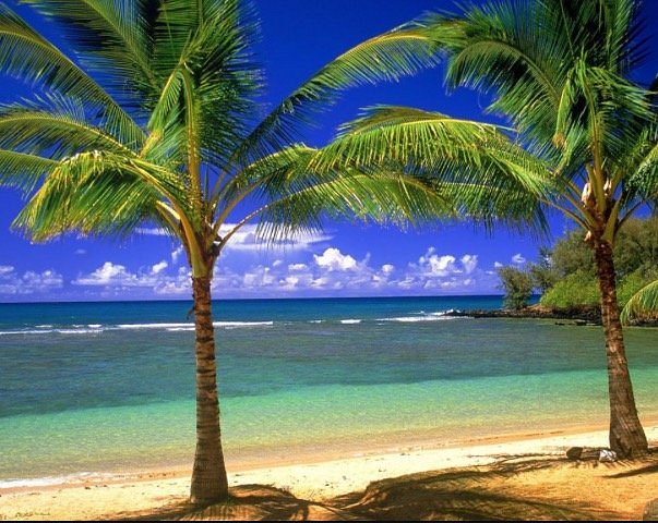 Ipioca Beach Resort - Image 11